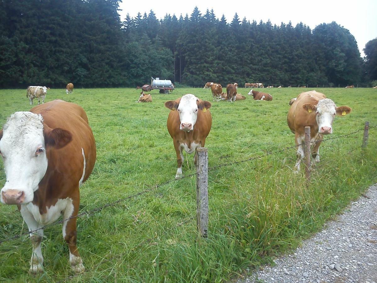 Ferienwohnung Auf Dem Lechsberg Fuchstal Dış mekan fotoğraf
